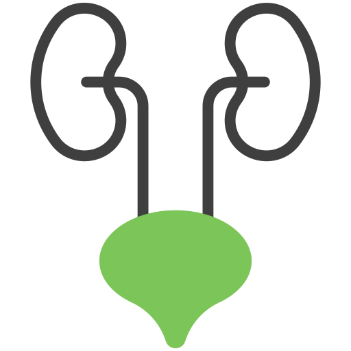 urologia Generic Fill & Lineal icona