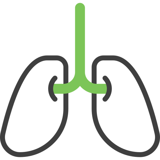 Lungs Generic Fill & Lineal icon