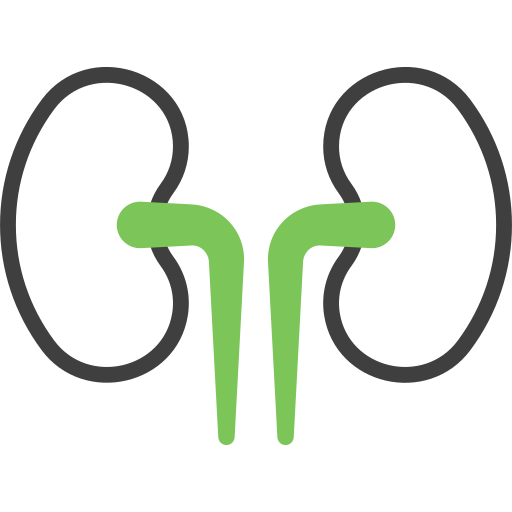 Kidneys Generic Fill & Lineal icon
