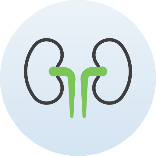 Kidneys Generic Circular icon