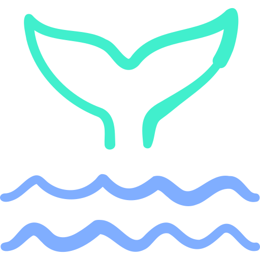 Whale Basic Hand Drawn Color icon