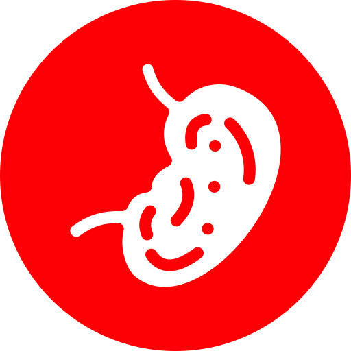 腎臓 Generic Circular icon