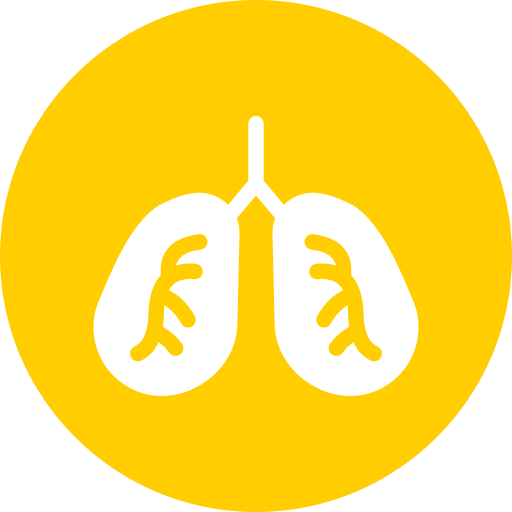 wykroki Generic Circular ikona