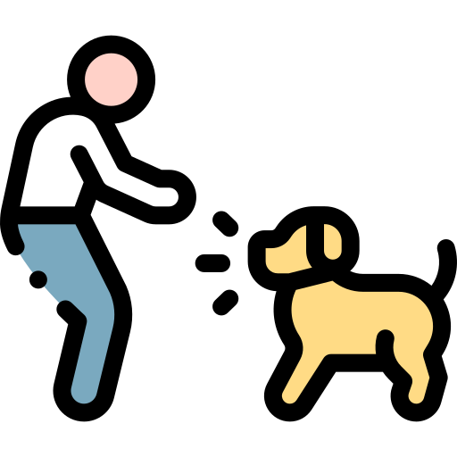 Dog training Detailed Rounded Lineal color icon