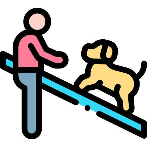 Dog training Detailed Rounded Lineal color icon