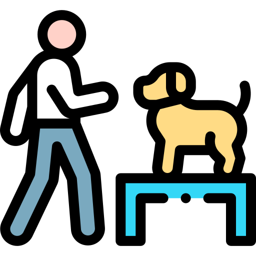 Дрессировка собак Detailed Rounded Lineal color иконка
