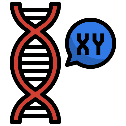 chromosome Surang Lineal Color Icône