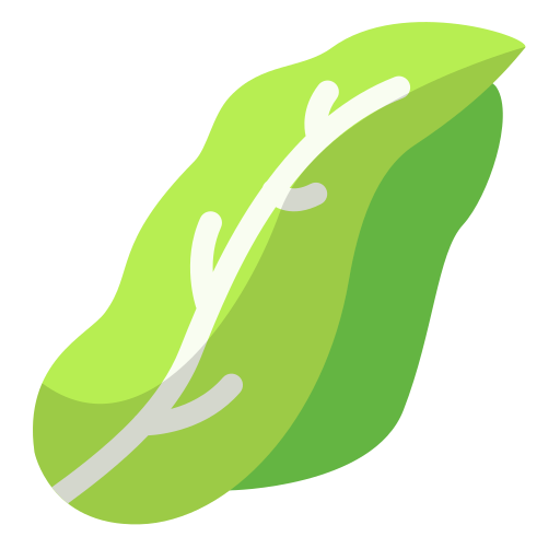 Witloof Generic Flat icon