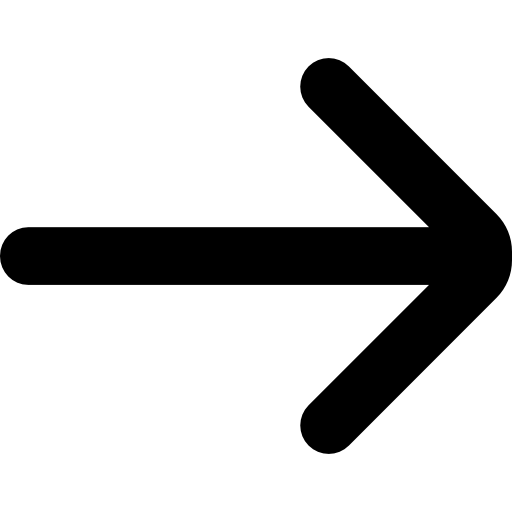 flecha correcta  icono