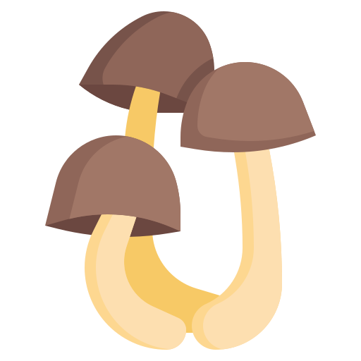 버섯 Generic Flat icon