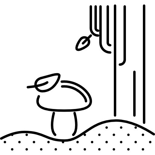 キノコ Coloring Lineal icon