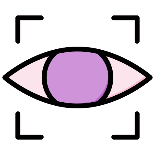 vision Generic Outline Color Icône