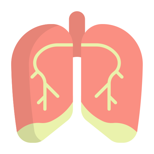 polmone Generic Flat icona
