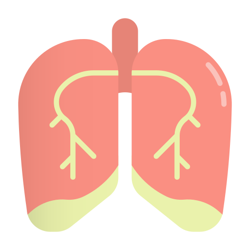 pulmão Generic Flat Gradient Ícone