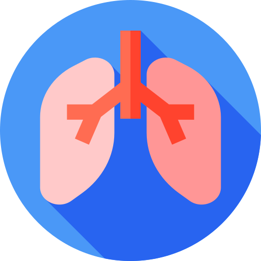 pulmones Flat Circular Flat icono