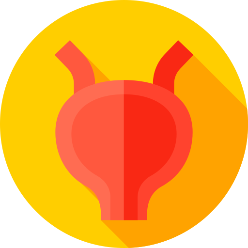 Urinary tract Flat Circular Flat icon
