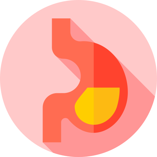 Stomach Flat Circular Flat icon