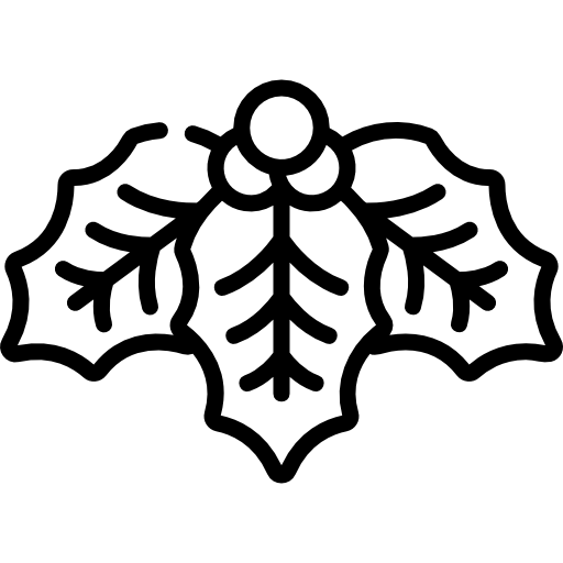 Mistletoe Special Lineal icon