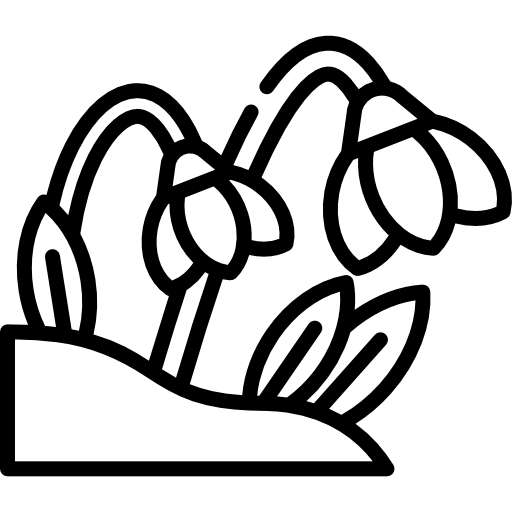 schneeglöckchen Special Lineal icon