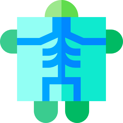 röntgen Basic Straight Flat icon