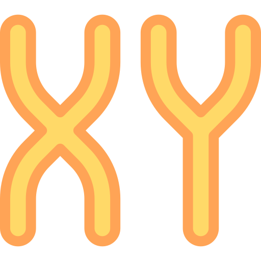 chromosom Detailed color Lineal color ikona