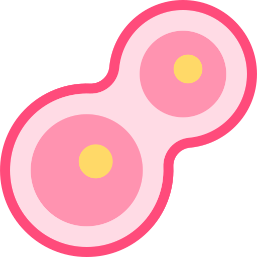 Mitosis Detailed color Lineal color icon