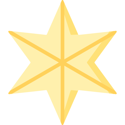 star Special Flat Icône