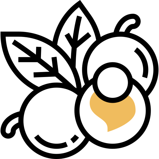 longan Meticulous Yellow shadow icono