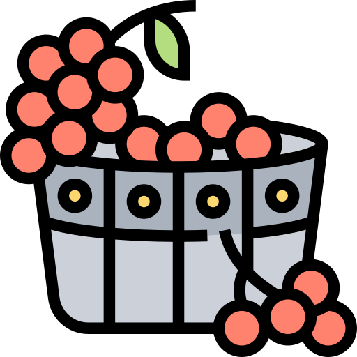 Grape Meticulous Lineal Color icon