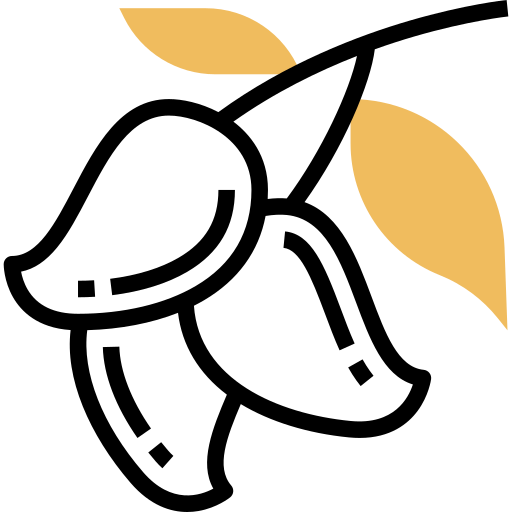 mango Meticulous Yellow shadow icon