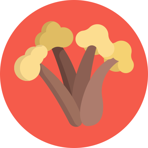 キノコ Generic Circular icon