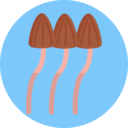 champignon Generic Circular Icône