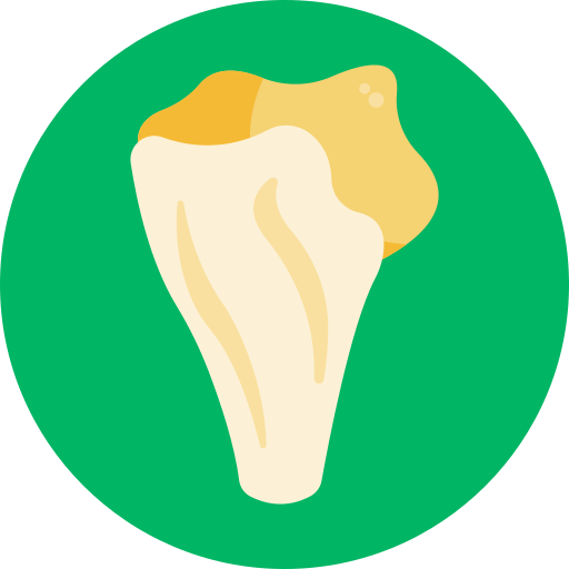 Mushroom Generic Circular icon