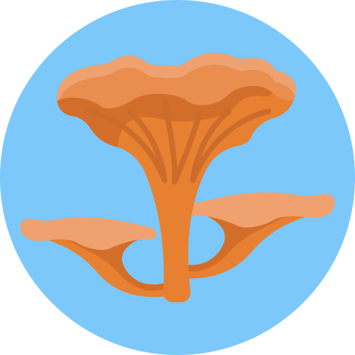 pilz Generic Circular icon