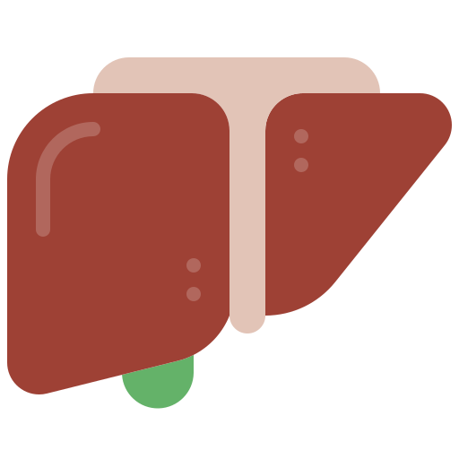 Liver Generic Flat icon