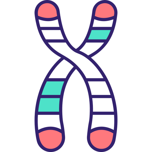 Хромосома Generic Outline Color иконка