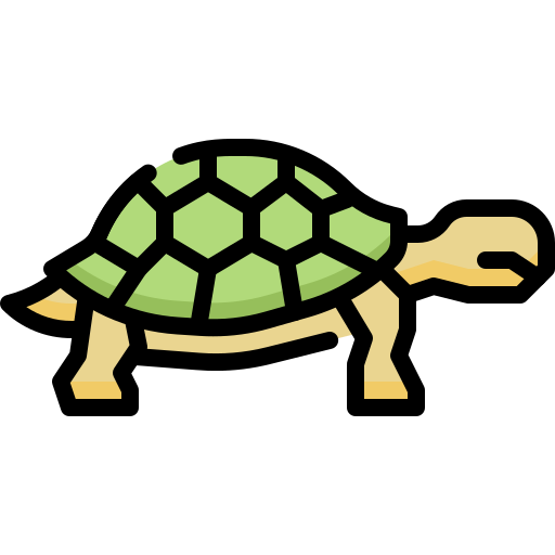 tortuga Generic Outline Color icono