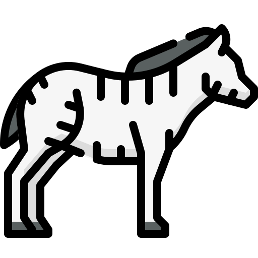 zebra Generic Outline Color ikona