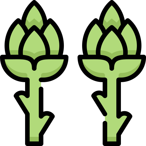 spargel Generic Outline Color icon