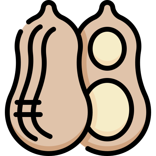 Peanut Generic Outline Color icon