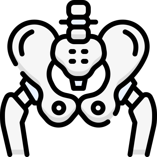 Pelvic bone Generic Outline Color icon