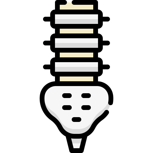 columna vertebral Generic Outline Color icono