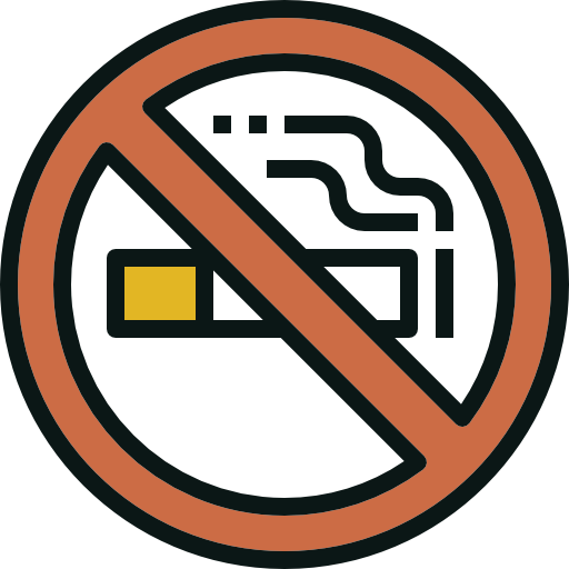 No smoking Becris Lineal color icon
