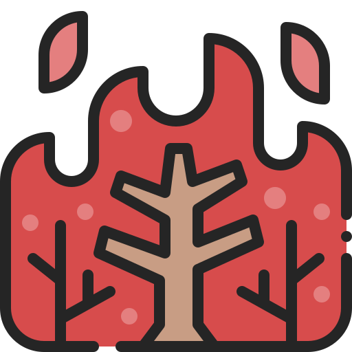 Wildfire Generic Outline Color icon