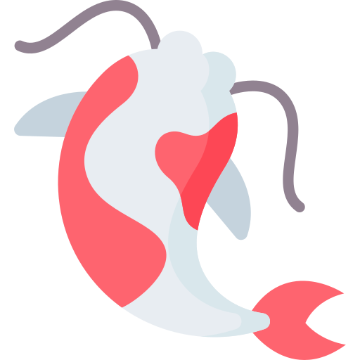 鯉の魚 Special Flat icon