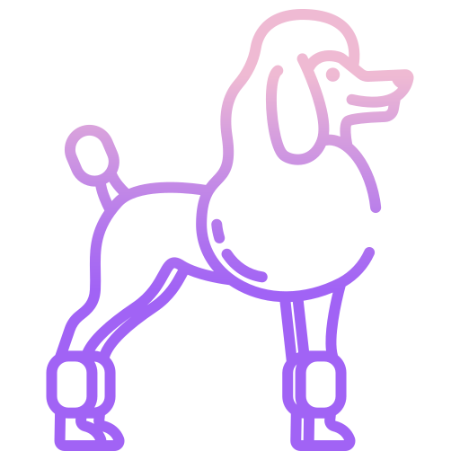 French poodle Icongeek26 Outline Gradient icon