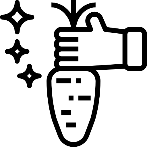 zanahoria Becris Lineal icono