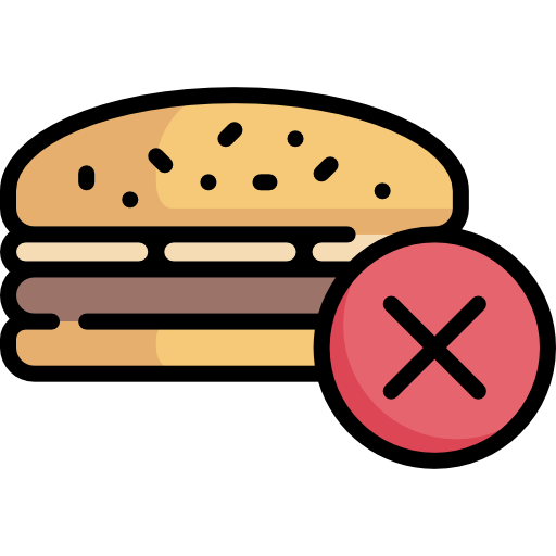 hamburguer Special Lineal color icon