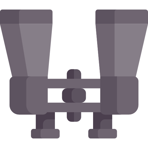 Binoculars Special Flat icon