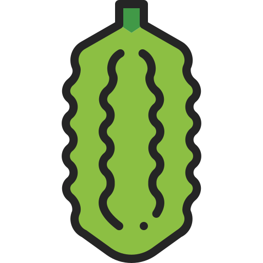 Bitter gourd Generic Outline Color icon